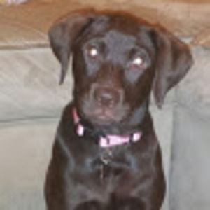 Meet your Posher, Kimberly